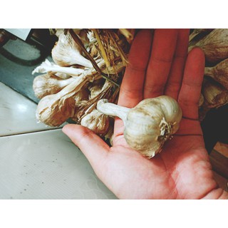 Tỏi kinh môn - hải dương - 1kg