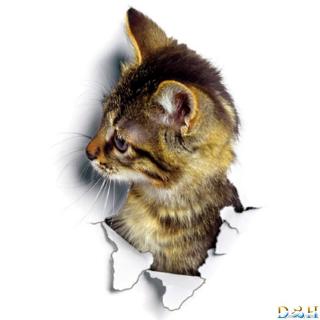 Miếng Dán Tường 3d Hình Chó Mèo