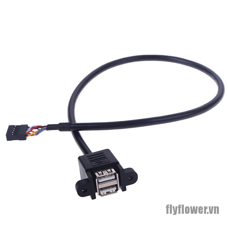 1 Cáp Mở Rộng 9 Pin Sang 2 Cổng Usb 2.0