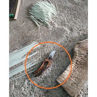 Nan cáp quang làm lồng chim