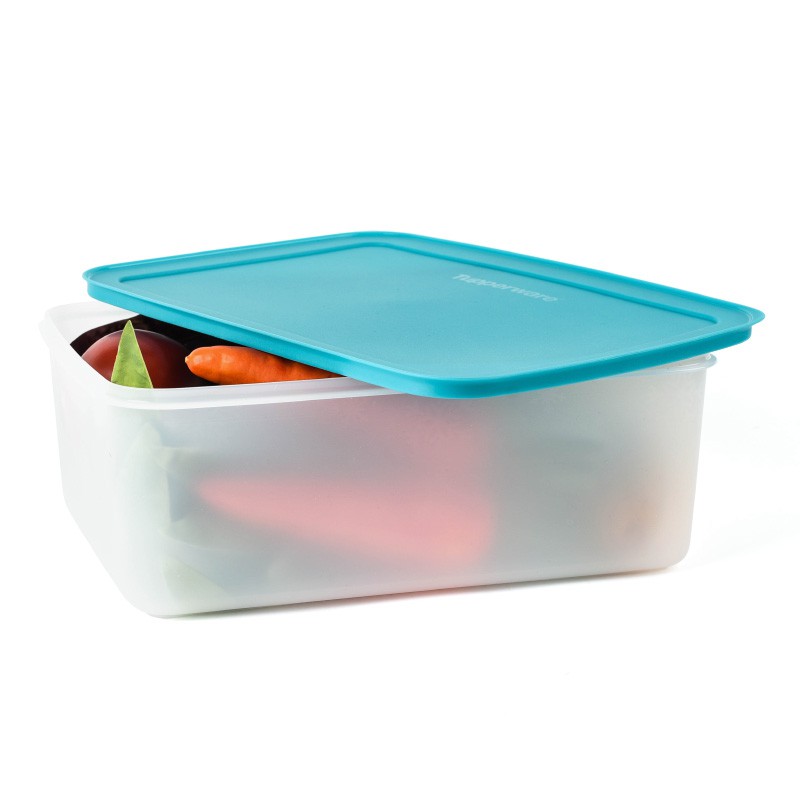 Hộp nhựa trữ đông bảo quản thực phẩm tủ lạnh Freezermate Tupperware Thế Hệ II dung tích 5.7L TU28