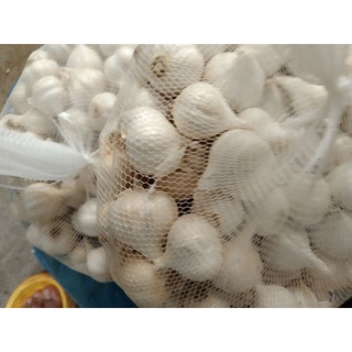 tỏi lý sơn
