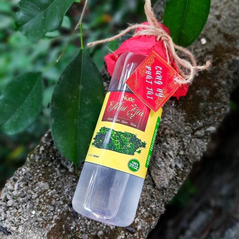 [500ml] Tinh chất Mùi Già -  NướcTắm Giao Thừa - Nước cất Mùi già tắm rửa, xông phòng, xông hơi, thanh lọc không khí