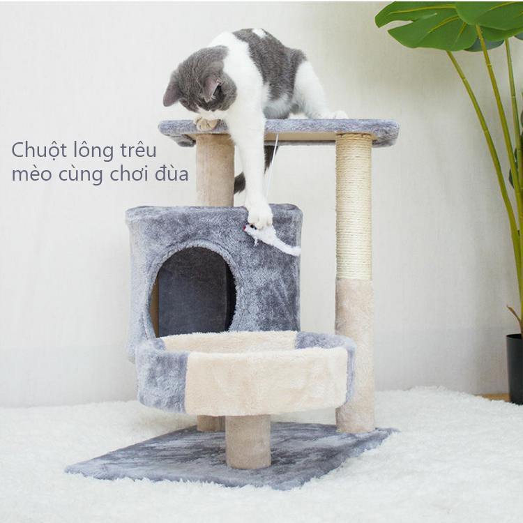 YB23 Cho Thú Cưng Hài Hước Trang Bài Cà Rốt Đào Tạo Khung Leo Trèo