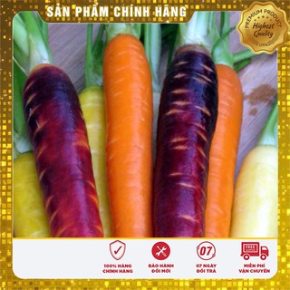 Hạt Giống Cà Rốt Nhiều Màu(100 hạt)