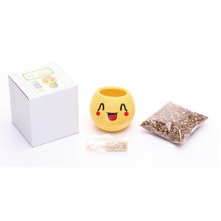 Chậu cây để bàn mini mặt cười