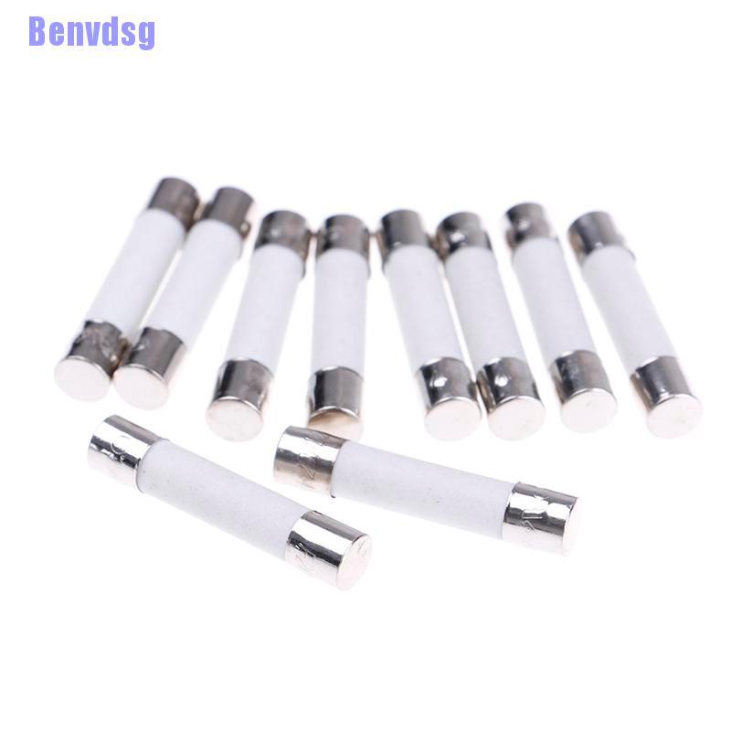 Bộ 10 Cầu Chì Sứ 20A 250V 6X30Mm Cho Lò Vi Sóng