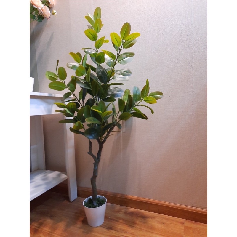 Cây giả-Cây Phúc(cây Phước) 1,2m-thân giả cổ decor trang trí nội thất