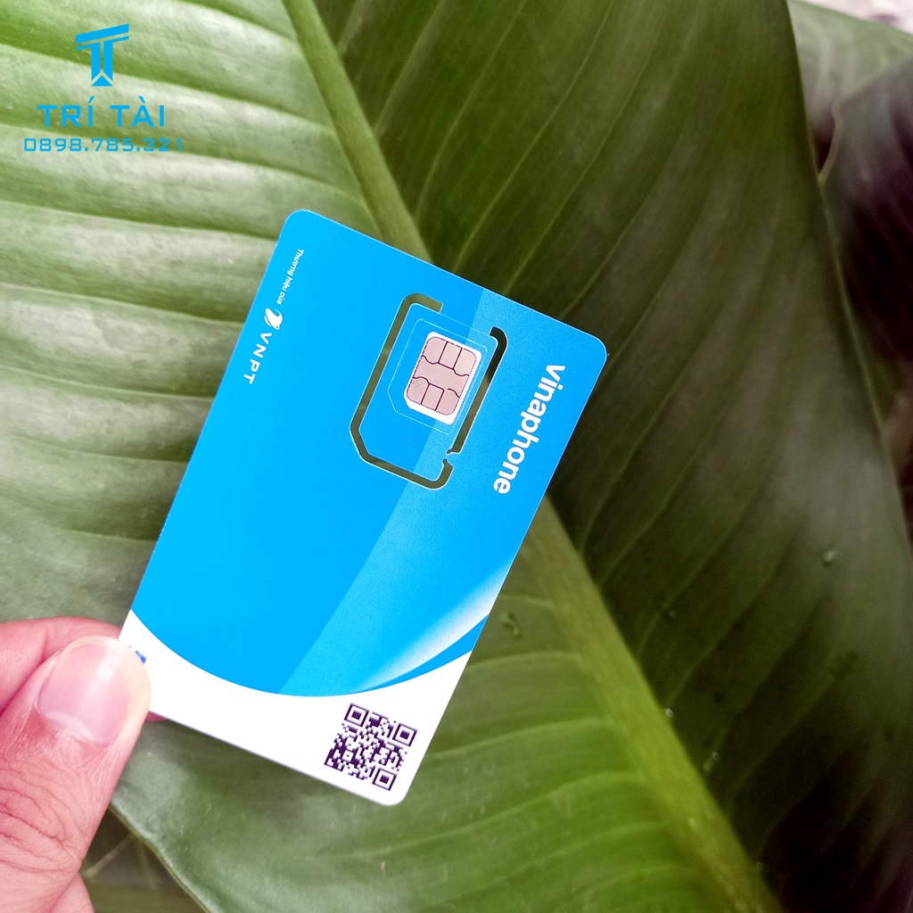 Sim 4G Vinaphone BIG50Y 5Gb/Ngày Miễn Phí Tháng Đầu - Không Giới Hạn dung lượng Xem YOUTUBE/TIK TOK/ZALO