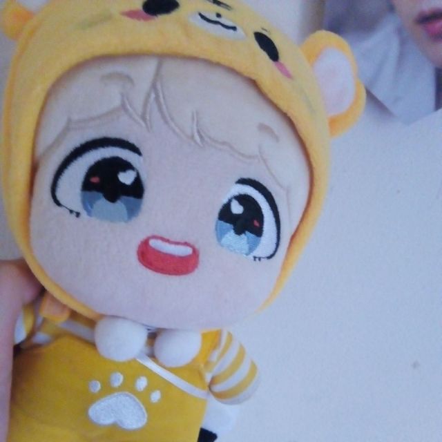 Bộ Hổ ( Outfit Fansite ) hàng cũ