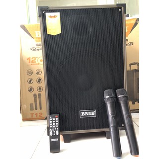 Loa kéo BNIB T12 Nghe Hay, Giá Tốt.