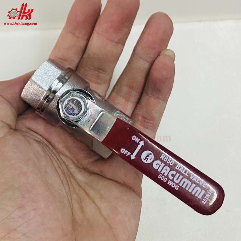 Van bi đồng xi Giacumini
