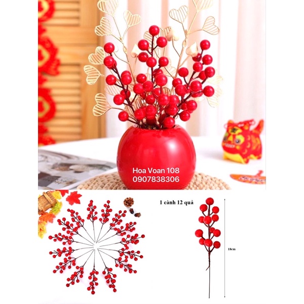 Nhánh đào đông mini 1 nhánh 12 quả to tròn