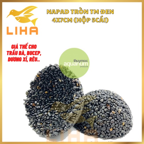 Napad Tròn TM Đen 4x7cm (Hộp 5cái) - Giá Thể Cho Trầu Bà, Bucep, Dương Xỉ, Rêu....Thủy Mộc