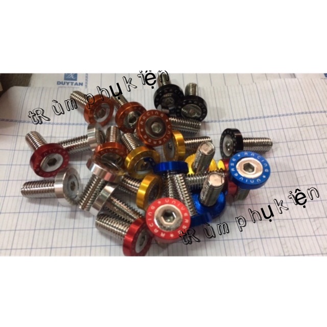 ỐC ĐĨA MÀU - BỘ 4 CON