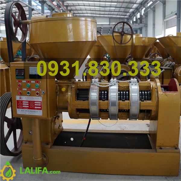 Máy ép dầu Lạc GuangXin công suất lớn - YZYX140WK