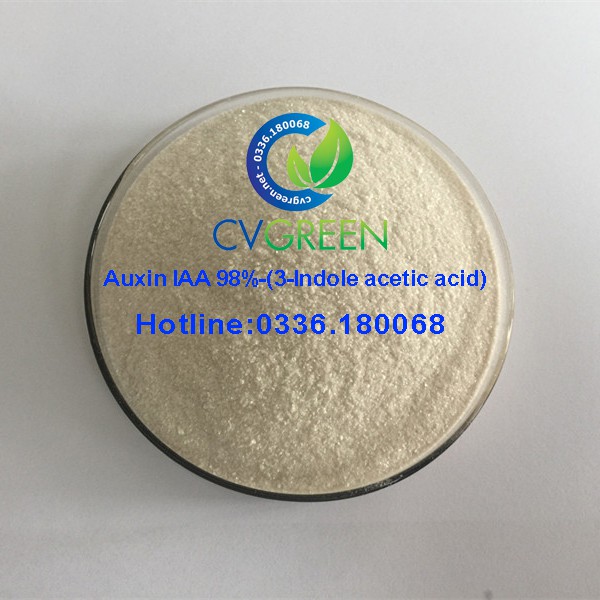 Auxin IAA 98% (3-Indole acetic acid) - Chất kích thích chồi, thân, rễ ( phân bón kích chồi, thân, rễ) gói 50g