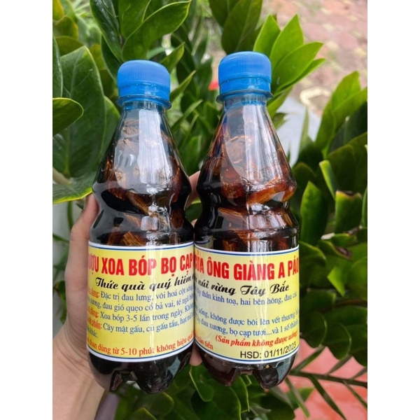 RƯỢU XOA BÓP BỌ CẠP SAPA