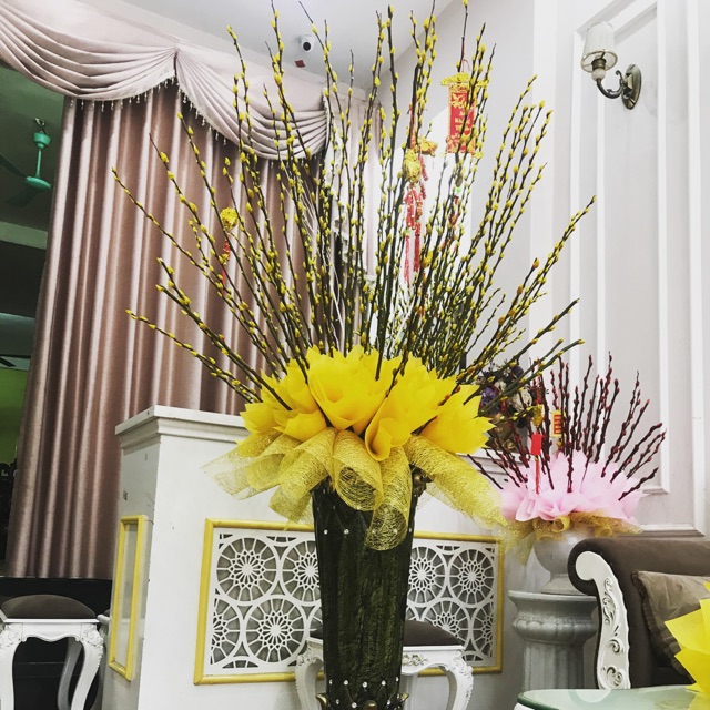 Chậu nụ tầm Xuân
