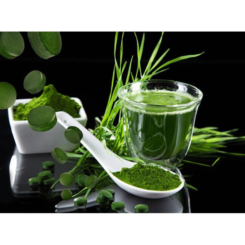 Tảo xoắn Spirulina Nhật Bản date mới nhất 2023