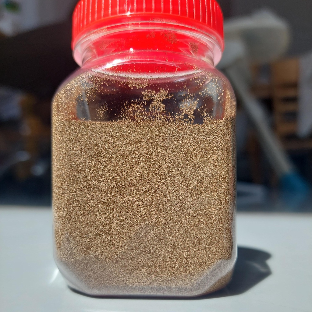 Artermia lon vàng TQ