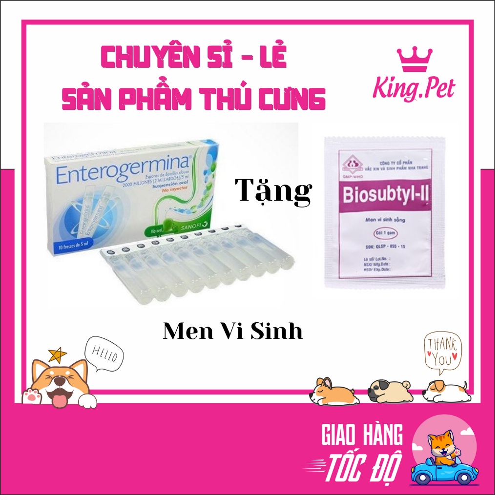 [Mã PET50K giảm Giảm 10% - Tối đa 50K đơn từ 250K] Men vi sinh Phòng Ngừa Rối Loạn Tiêu Hóa