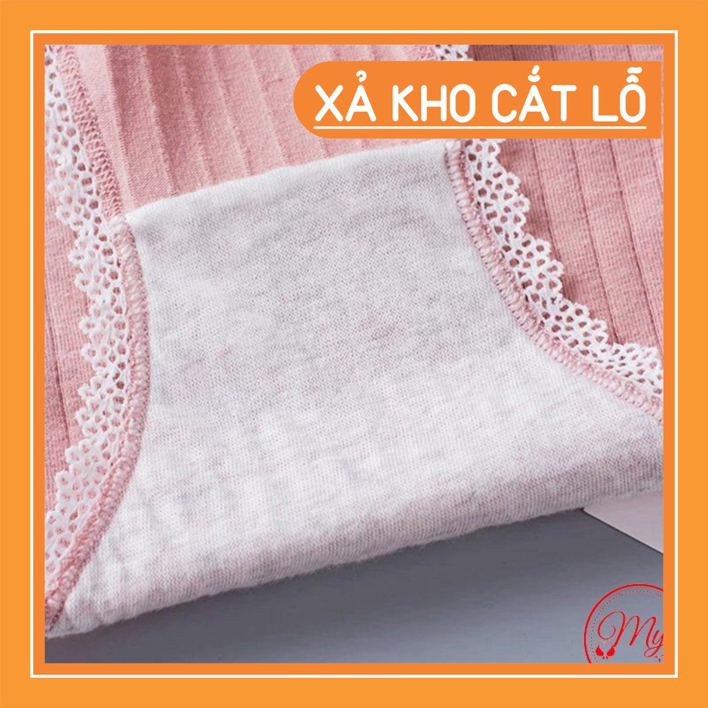 Sỉ Quần Lót Gân Tăm Viền Ren Cotton Thấm Hút Siêu Xinh Rẻ Nhất Thị Trường