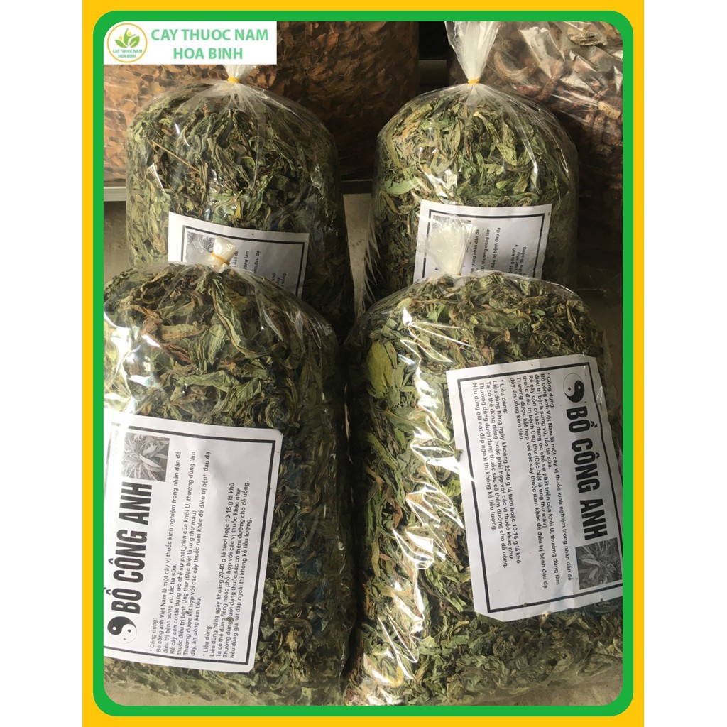 [Mã 267FMCGSALE giảm 8% đơn 500K] [GIÁ BÁN BUÔN] 1KG LÁ BỒ CÔNG ANH HÒA BÌNH [KHÔ, XANH, SẠCH, THƠM] | BigBuy360 - bigbuy360.vn