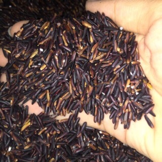 Combo 2kg gạo tím than Sóc Trăng
