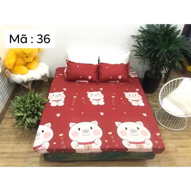 Bộ ga gối hoạ tiết