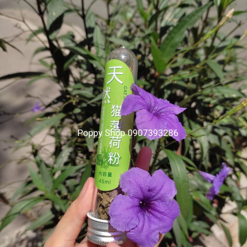 Catnip Khô Cho Mèo Thư Giãn Lọ 45 ml