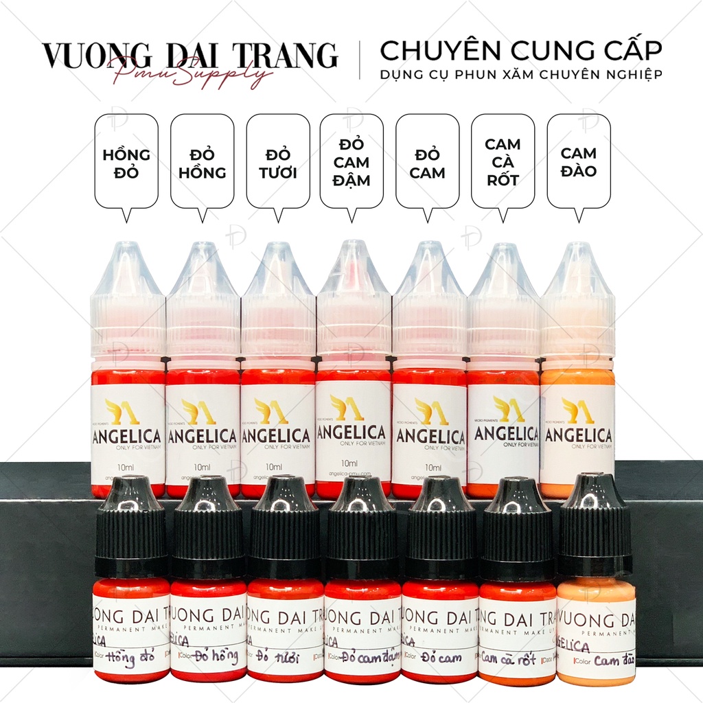 Mực Angelica full 10ml