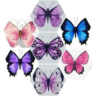 kẹp tóc shinobu style( xanh 1 và tím 4)