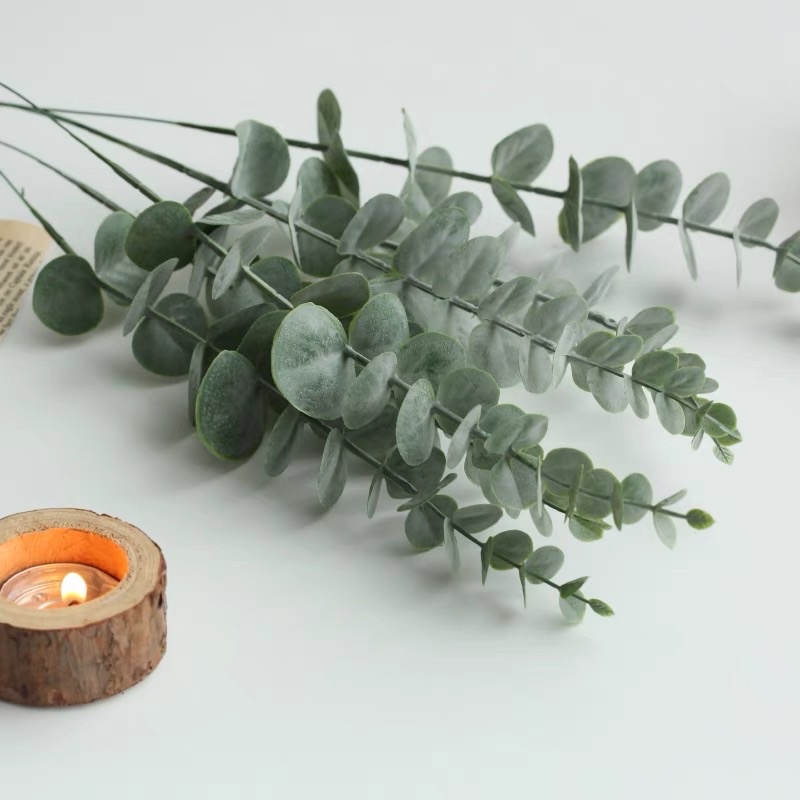 Cành lá khuynh diệp nhân tạo phụ kiện trang trí, chụp ảnh -may.decor