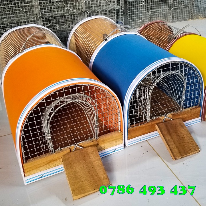 Bẫy chuột thông minh 2 ngăn, bắt nhiều con cùng một lúc