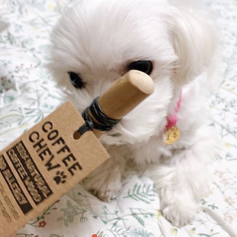 Coffe Wood Chew Xương Chó Làm Bằng Thanh Gỗ Cà Phê Tự Nhiên Dành Cho Chó Mèo