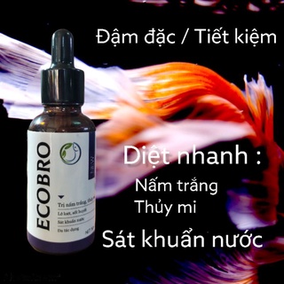 Thuốc trị Nấm cá cảnh,lở loét, xuất huyết, sát khuẩn bể cá cảnh EcoBro 30ml bóp giọt