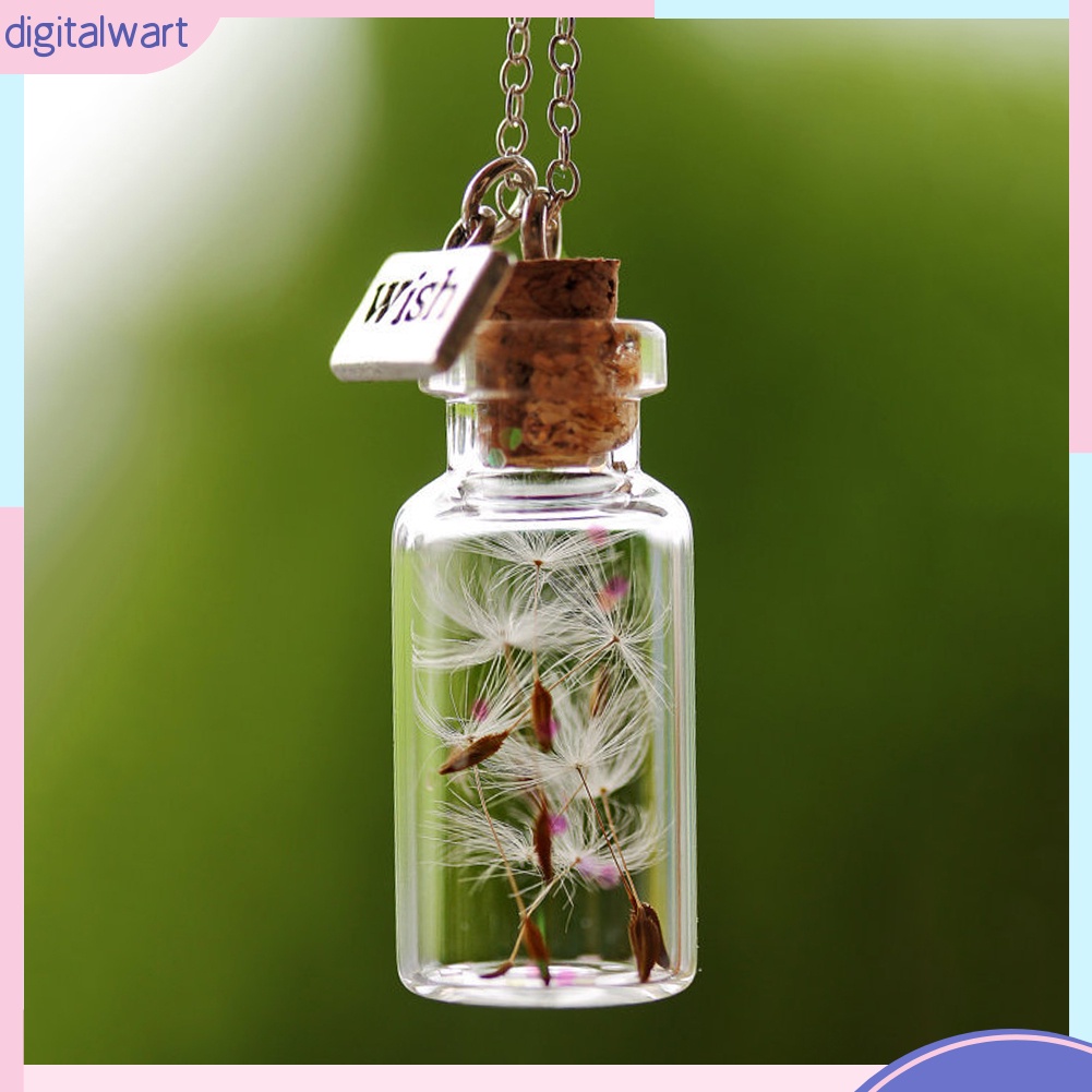 Dây chuyền mặt dây hình lọ ước nguyện có hoa bồ công anh thời trang xinh xắn