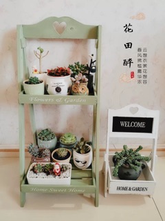 Kệ để cây cảnh trong nhà