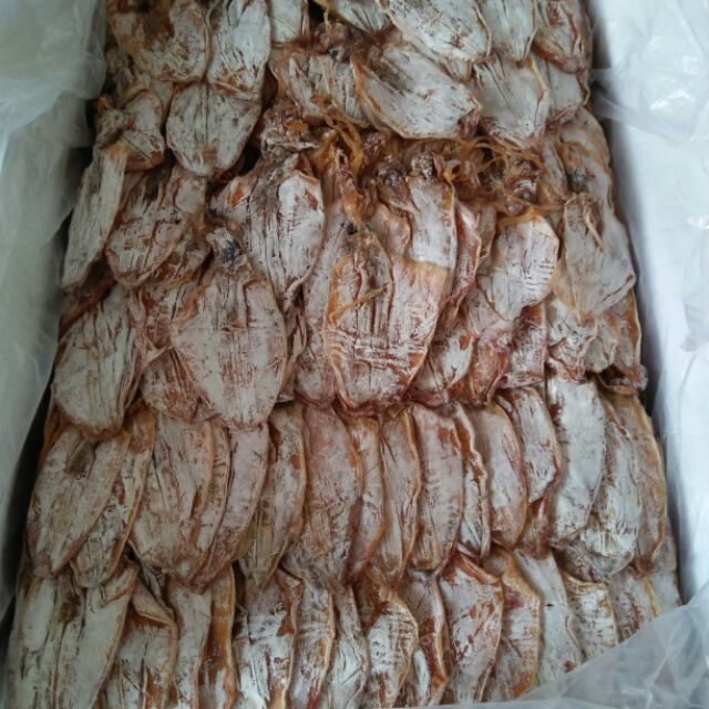 Mực câu đà nẵng