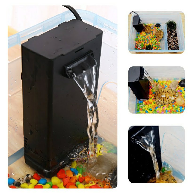 Thiết bị lọc nước cho bể rùa