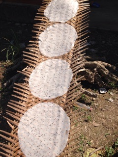Bánh tráng dừa nướng