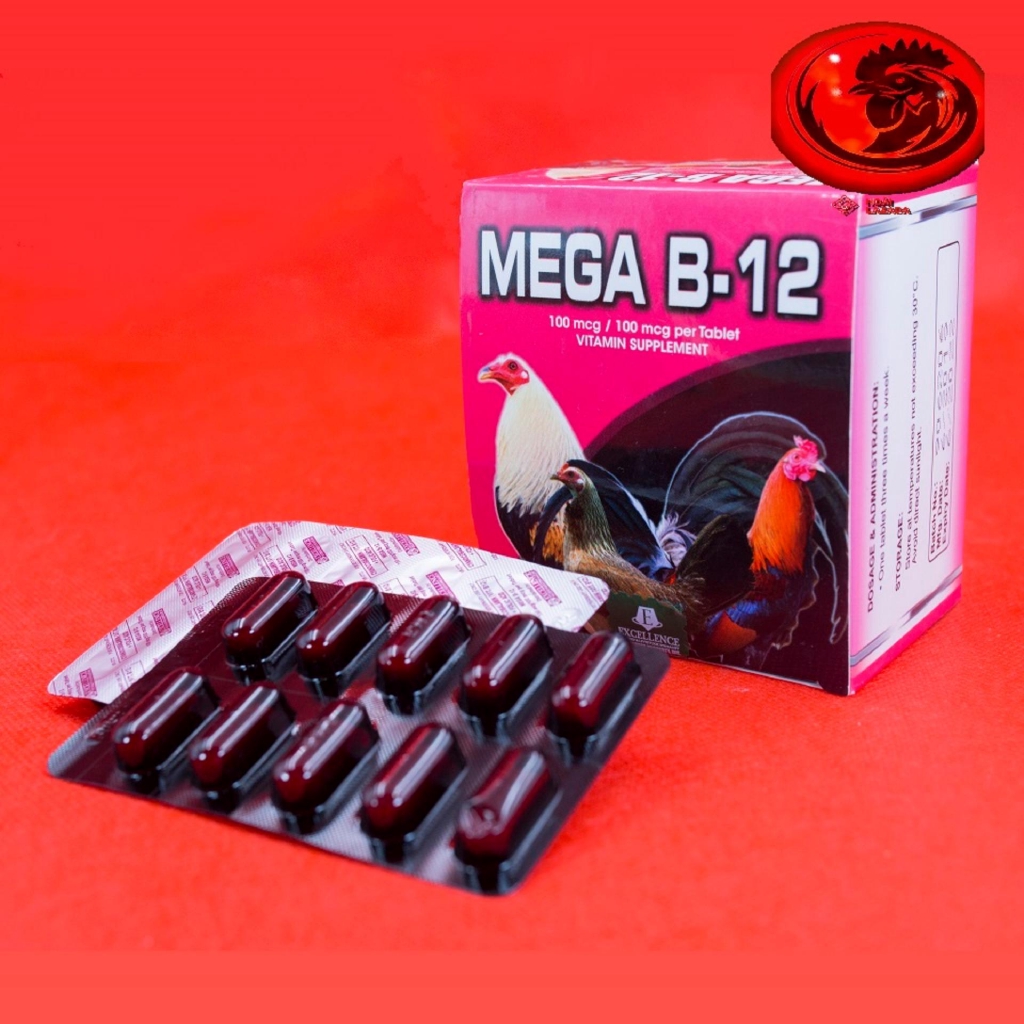 COMBO 4 VỈ B12 - MEGA cho gà đá VỈ 10 viên