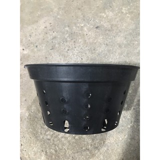 10 chậu nhựa đen trồng lan đường kính 25 cm lỗ tròn