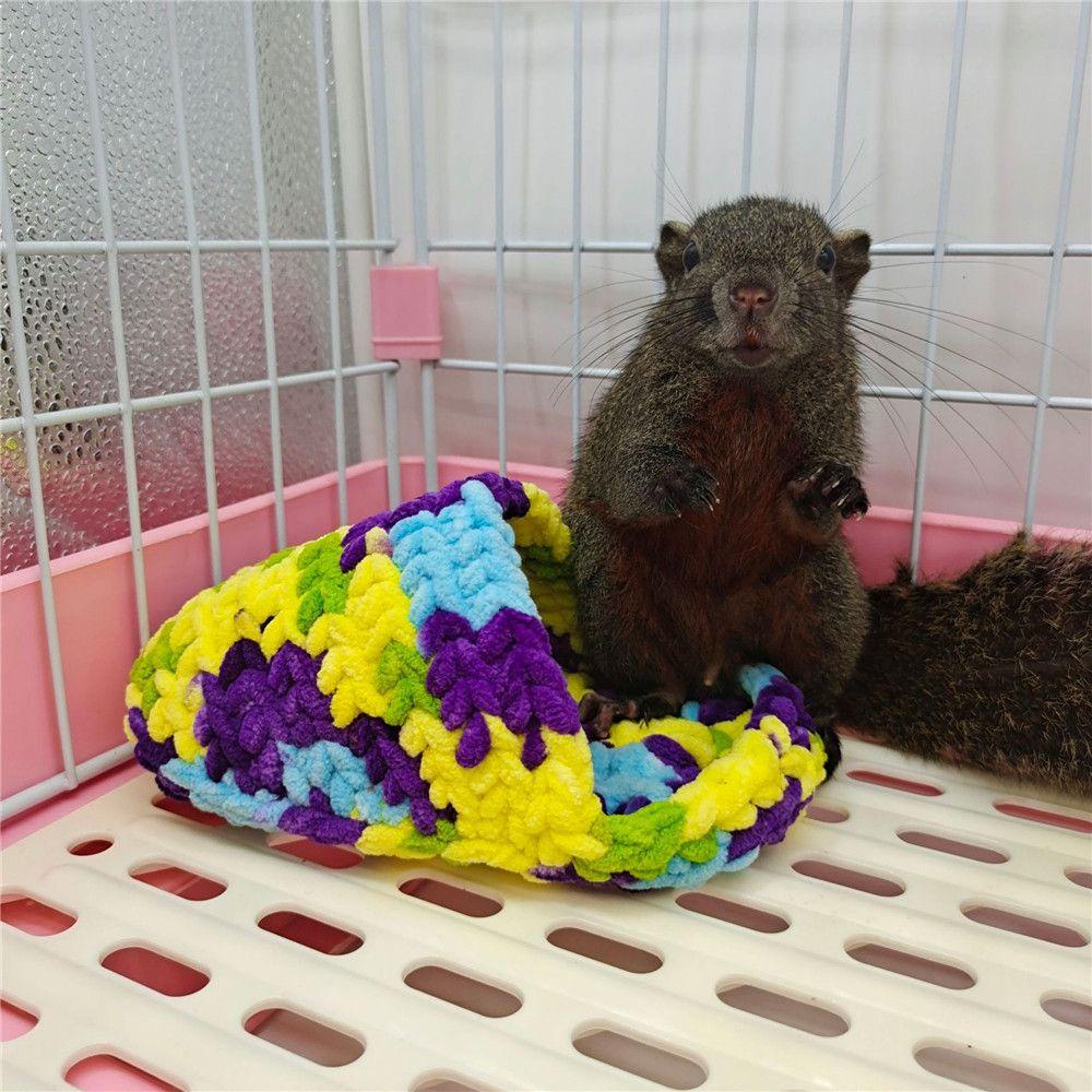 PISTA Ngôi Nhà Mini Nhiều Màu Sắc Dành Cho Chuột Hamster Thỏ Sóc Ngủ Trong Mùa Đông