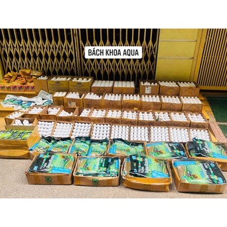 Seachem Flourish phân nước chính hãng cho bể thủy sinh
