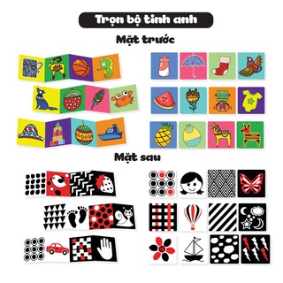 Bộ thẻ Ziczac thích thích phát triển thị giác