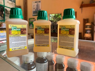 Thuốc diệt trừ mối MAPSEDAN 100ml