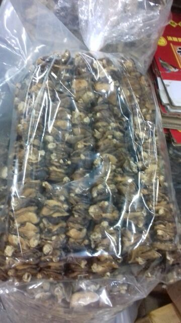 Nấm hương rừng tự nhiên xiên que Sapa gói 1kg