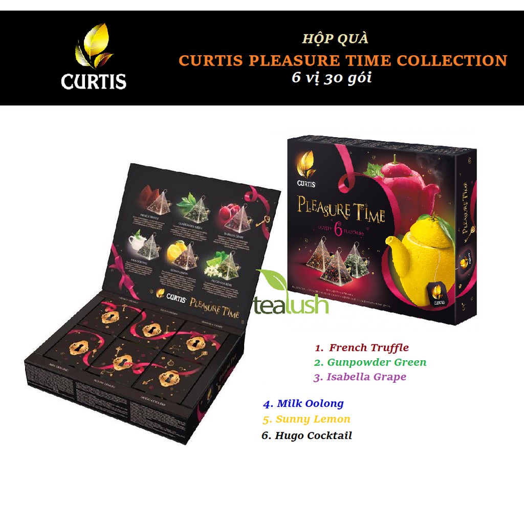 HỘP QUÀ - HỘP TRÀ CURTIS COLLECTION 6 VỊ 30 GÓI